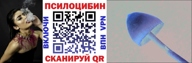 Псилоцибиновые грибы Psilocybine cubensis  Щёкино 